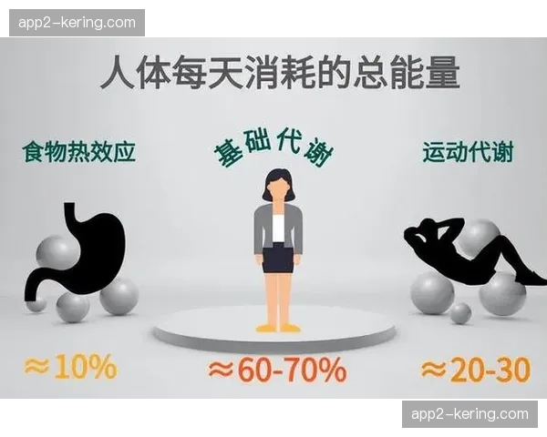 补给营养方案依据选手能量消耗模型定制 科学补给降低衰竭风险